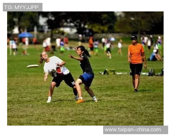 深圳飞盘队耐力对比独家深度分析与解读 深圳飞盘队耐力对比独家深度分析与解读